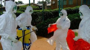 Ebola-Virus-Picture